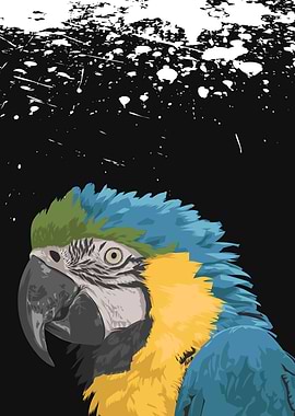 Vector Illustration parrot