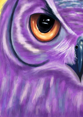 Purple Owl