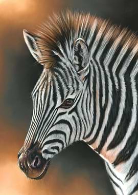 Portrait of a Zebra