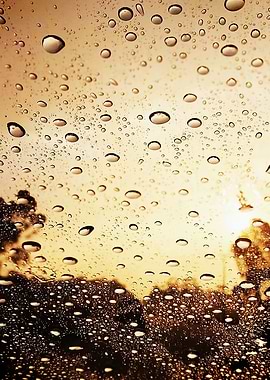 Rain Drops on the Glass
