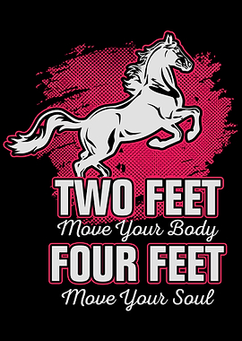 Horse Horse equestrian