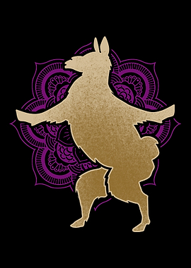 Llama Lama Peru Alpaca