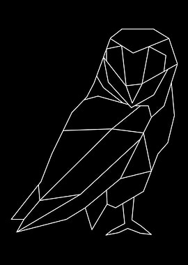 linear owl