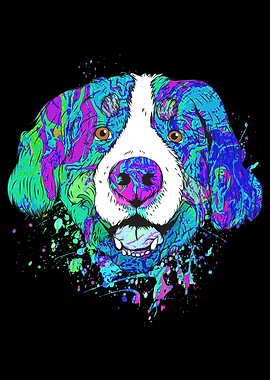 Bernese Mountain Dog