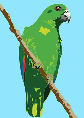 Green Parrot