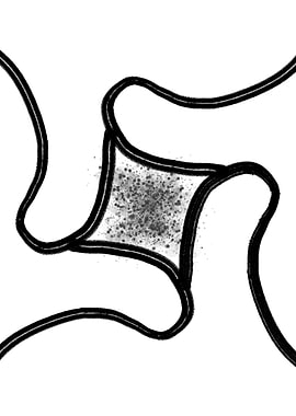 Black and White Abstract 2