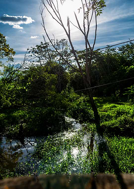 Rural scenary Brazil