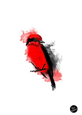 Redrobin black and color