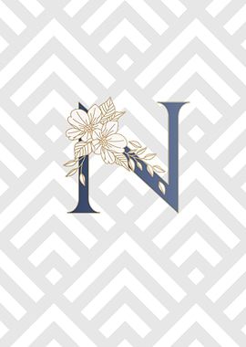 Letter N