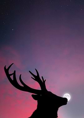 silhouette deer