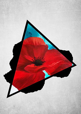 Poppy Feels Triangle