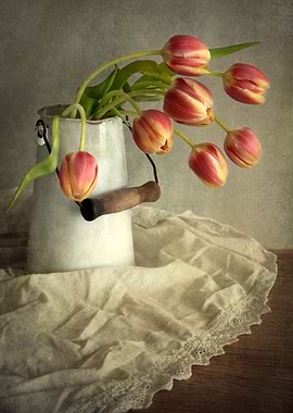 Still life with red tulips