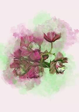Watercolor Orchid