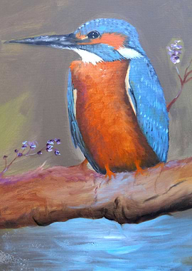 Kingfisher