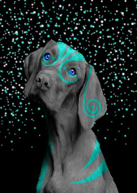 Dog waiting for the employ