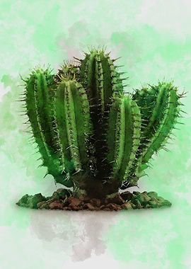 Cactus Watercolor
