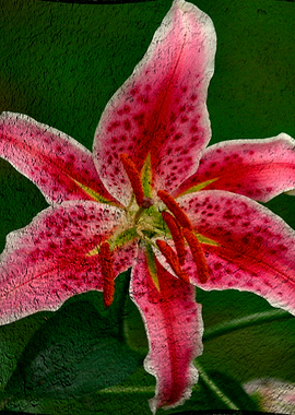 Textured flower abstract