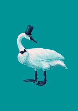 Funny Swan With Style