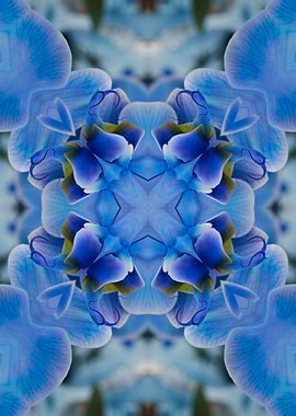 stylized blue pattern