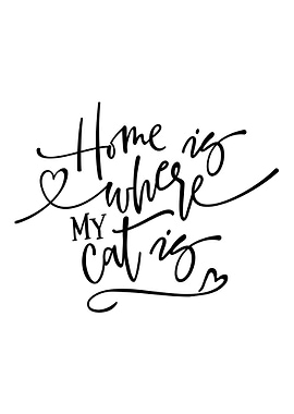 Home is Where My Cat is