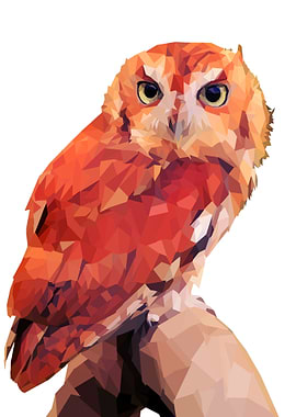 RED OWL