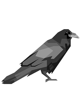 Crow