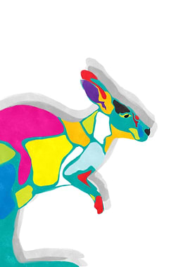 Funky Kangaroo