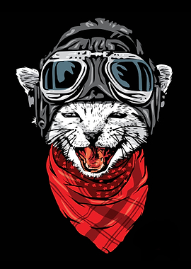 the happy adventurer Cat