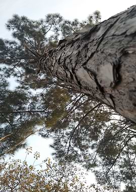 Autumn in Margalla Hills