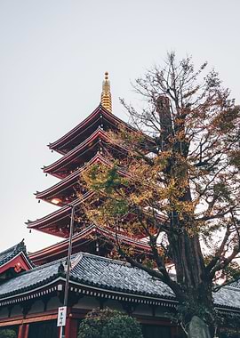 Senso Ji Temple