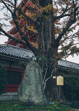Engraved Stone in Japan