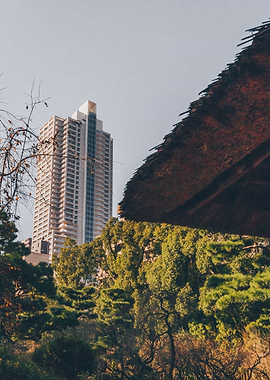 Skyscraper vs Nature