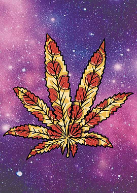 Galaxy Pizza Weed