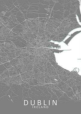 Dublin Grey City Map
