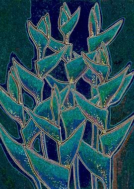 Heliconia Flowers Black