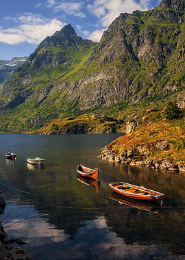Just Lofoten islands boats