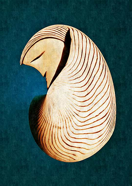 Nautilus Seed