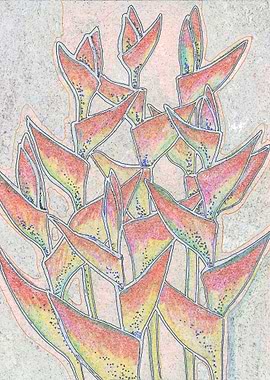 Heliconia Tropic Flowers