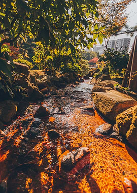 Stones inside the River