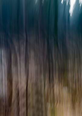 Abstract forest