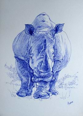 rhinoceros