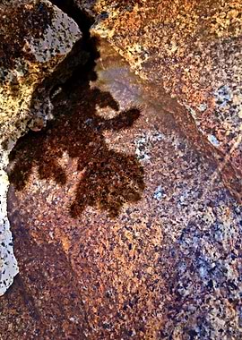 Emerge from the Shadows