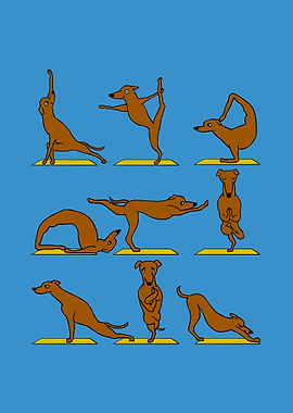Greyhound Yoga