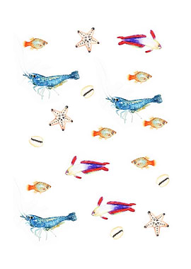 Sea Underwater Animals