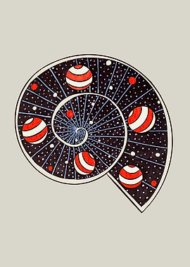 Spiral Galaxy Snail With B