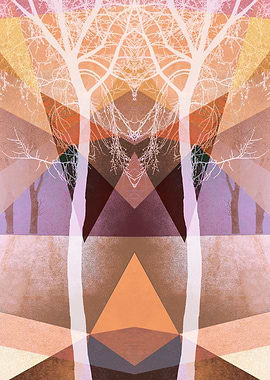 TREES INTO GEOMETRIC WOLRD