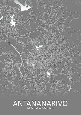 Antananarivo Grey City Map