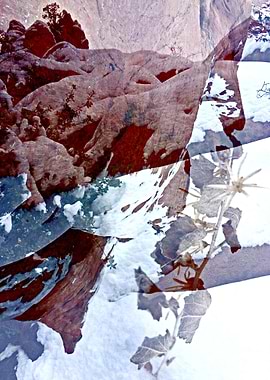 Winter But Not Sleeping