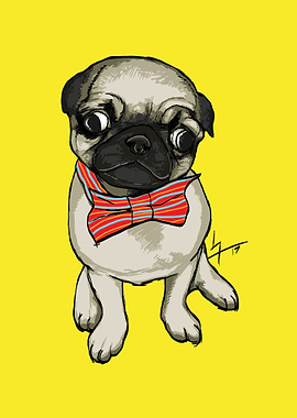 Pug with Bowtie