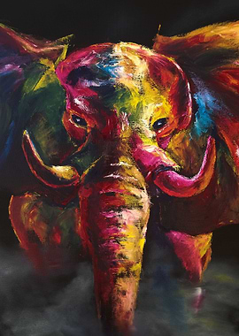 Elephant Wild Colors